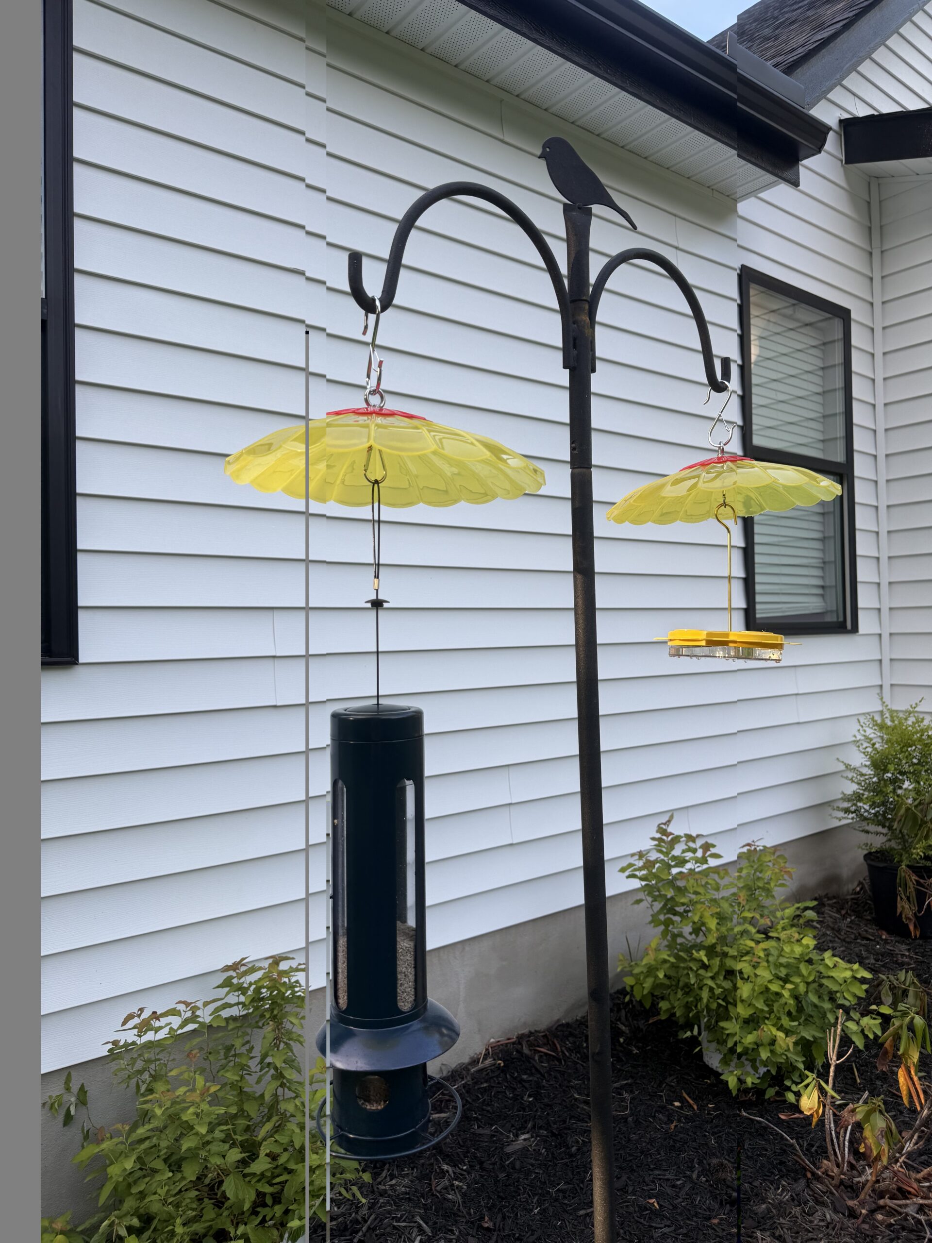 BIrd feeders